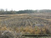 Дом в с.Торское Краснолиманского р-на, участок 26 соток, сосновый лес