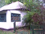 Дом 45 м2 за 20 000 грн. с.Новоспаское 