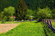 Продаж земельної ділянки в Карпатах 